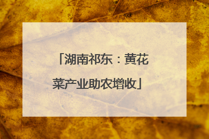 湖南祁东：黄花菜产业助农增收