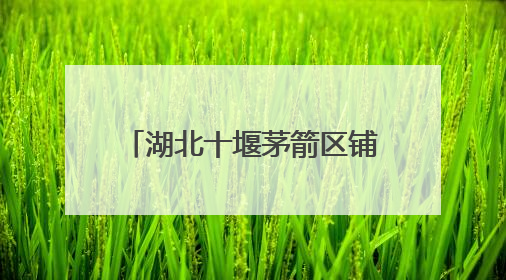 湖北十堰茅箭区铺就乡村振兴共富路