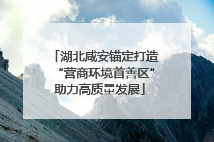湖北咸安锚定打造“营商环境首善区”助力高质量发展