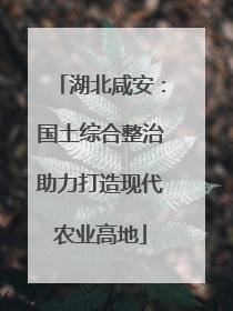 湖北咸安：国土综合整治助力打造现代农业高地