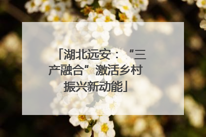 湖北远安：“三产融合”激活乡村振兴新动能