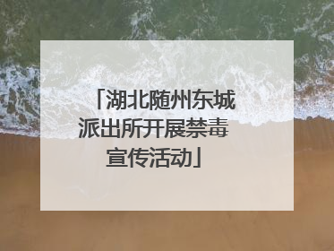 湖北随州东城派出所开展禁毒宣传活动