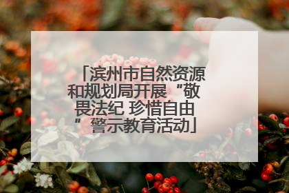 滨州市自然资源和规划局开展“敬畏法纪 珍惜自由”警示教育活动