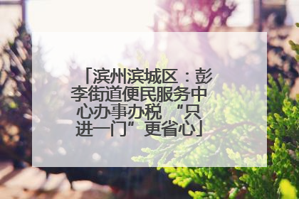 滨州滨城区：彭李街道便民服务中心办事办税 “只进一门”更省心