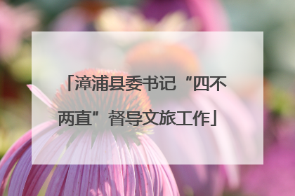 漳浦县委书记“四不两直”督导文旅工作
