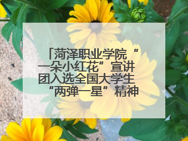 菏泽职业学院“一朵小红花”宣讲团入选全国大学生“两弹一星”精神宣讲团