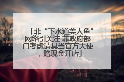 菲“下水道美人鱼”网络引关注 菲政府部门考虑请其当官方大使，赠现金开店