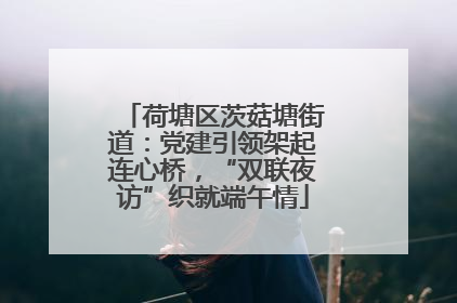 荷塘区茨菇塘街道：党建引领架起连心桥，“双联夜访”织就端午情