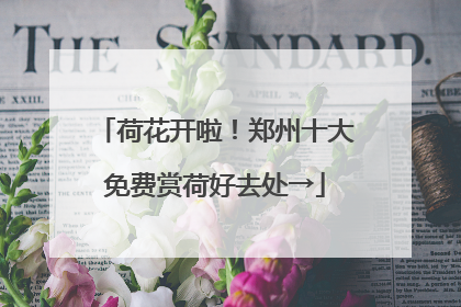 荷花开啦！郑州十大免费赏荷好去处→