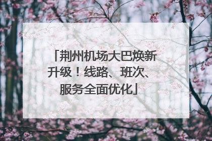 荆州机场大巴焕新升级！线路、班次、服务全面优化