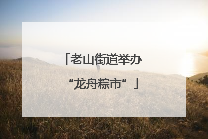 老山街道举办“龙舟粽市”