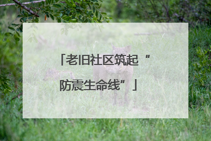 老旧社区筑起“防震生命线”