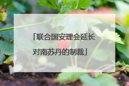 联合国安理会延长对南苏丹的制裁