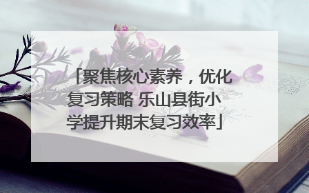 聚焦核心素养，优化复习策略 乐山县街小学提升期末复习效率