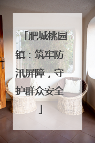 肥城桃园镇：筑牢防汛屏障，守护群众安全