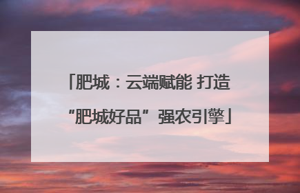 肥城：云端赋能 打造“肥城好品”强农引擎