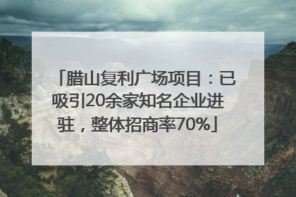 腊山复利广场项目：已吸引20余家知名企业进驻，整体招商率70%