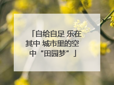 自给自足 乐在其中 城市里的空中“田园梦”