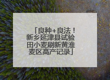 良种+良法！新乡延津县试验田小麦刷新黄淮麦区高产记录