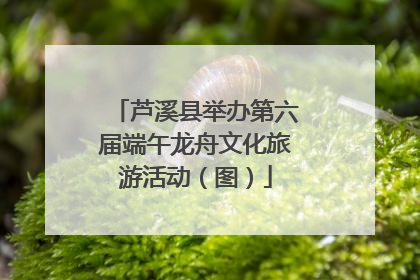 芦溪县举办第六届端午龙舟文化旅游活动（图）