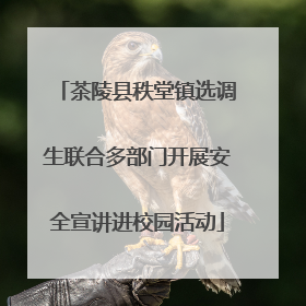 茶陵县秩堂镇选调生联合多部门开展安全宣讲进校园活动