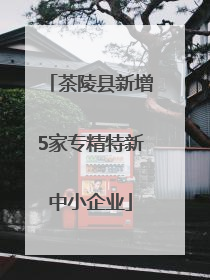 茶陵县新增5家专精特新中小企业