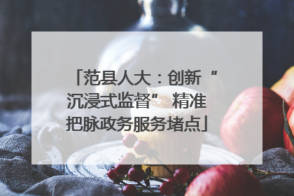 范县人大：创新“沉浸式监督” 精准把脉政务服务堵点