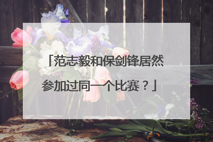 范志毅和保剑锋居然参加过同一个比赛？