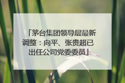 茅台集团领导层最新调整：向平、张贵超已出任公司党委委员