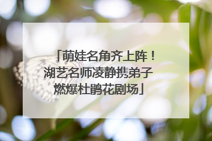 萌娃名角齐上阵！湖艺名师凌静携弟子燃爆杜鹃花剧场