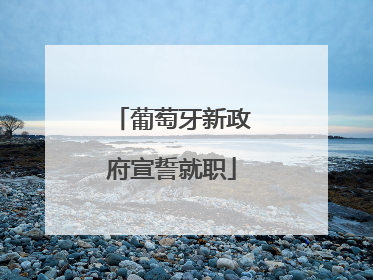 葡萄牙新政府宣誓就职