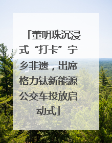 董明珠沉浸式“打卡”宁乡非遗，出席格力钛新能源公交车投放启动式