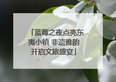 蓝莓之夜点亮东夷小镇 非遗雅韵开启文旅盛宴