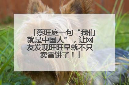 蔡旺庭一句“我们就是中国人”，让网友发现旺旺早就不只卖雪饼了！