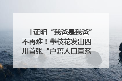 证明“我爸是我爸”不再难！攀枝花发出四川首张“户籍人口直系亲属关系谱”
