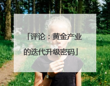 评论：黄金产业的迭代升级密码
