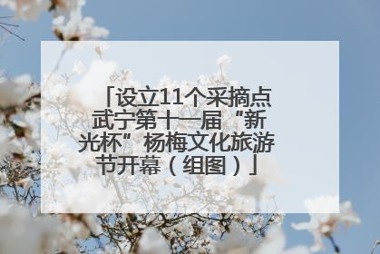设立11个采摘点 武宁第十一届“新光杯”杨梅文化旅游节开幕（组图）