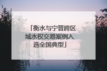 衡水与宁晋跨区域水权交易案例入选全国典型