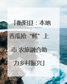 衡阳县：本地香瓜抢“鲜”上市 农旅融合助力乡村振兴