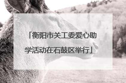衡阳市关工委爱心助学活动在石鼓区举行