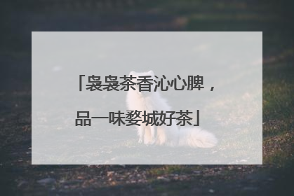 袅袅茶香沁心脾，品一味婺城好茶