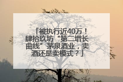 被执行近40万！肆拾玖坊“第二增长曲线”茅泉酒业，卖酒还是卖模式？