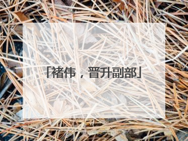褚伟，晋升副部