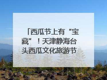 西瓜节上有“宝藏”！天津静海台头西瓜文化旅游节甜蜜开幕