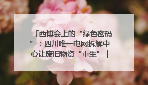 西博会上的“绿色密码”：四川唯一电网拆解中心让废旧物资“重生”｜西博寻“新”记