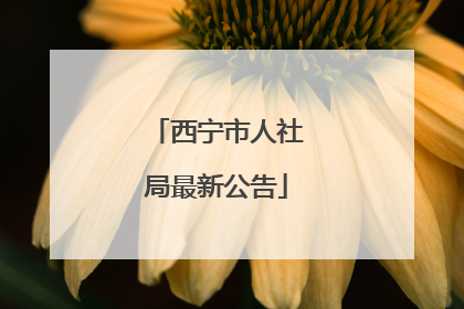 西宁市人社局最新公告