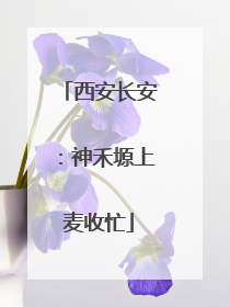 西安长安：神禾塬上麦收忙