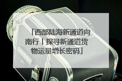 西部陆海新通道向南行丨探寻新通道货物运量增长密码