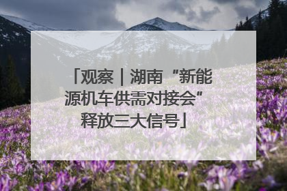 观察｜湖南“新能源机车供需对接会”释放三大信号
