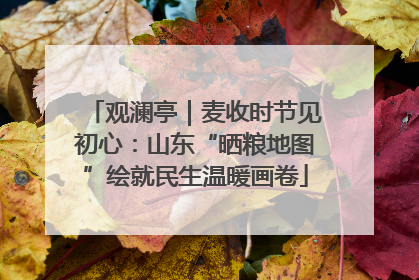 观澜亭｜麦收时节见初心：山东“晒粮地图”绘就民生温暖画卷
